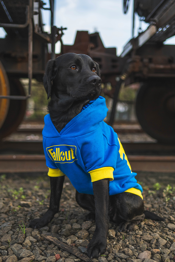 Fallout Vault 101 Pet Hoodie – Official Bethesda Gear Store