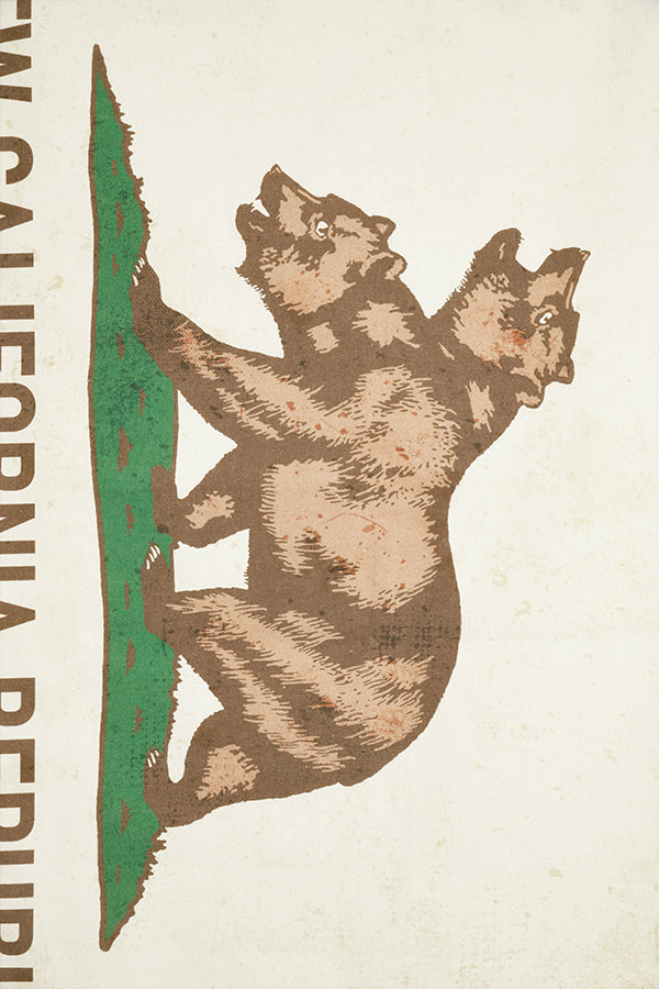 Fallout NCR Canvas Banner
