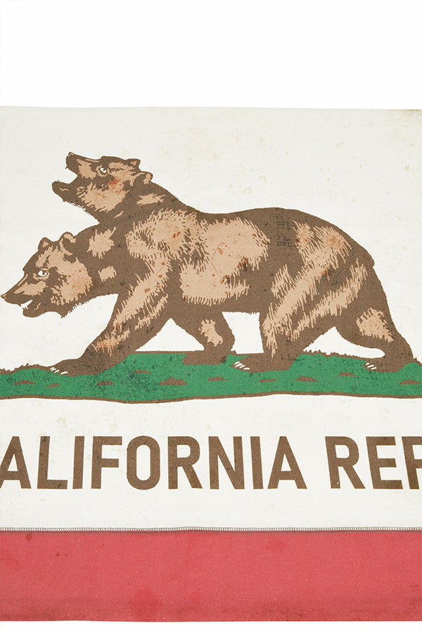 Fallout NCR Canvas Banner