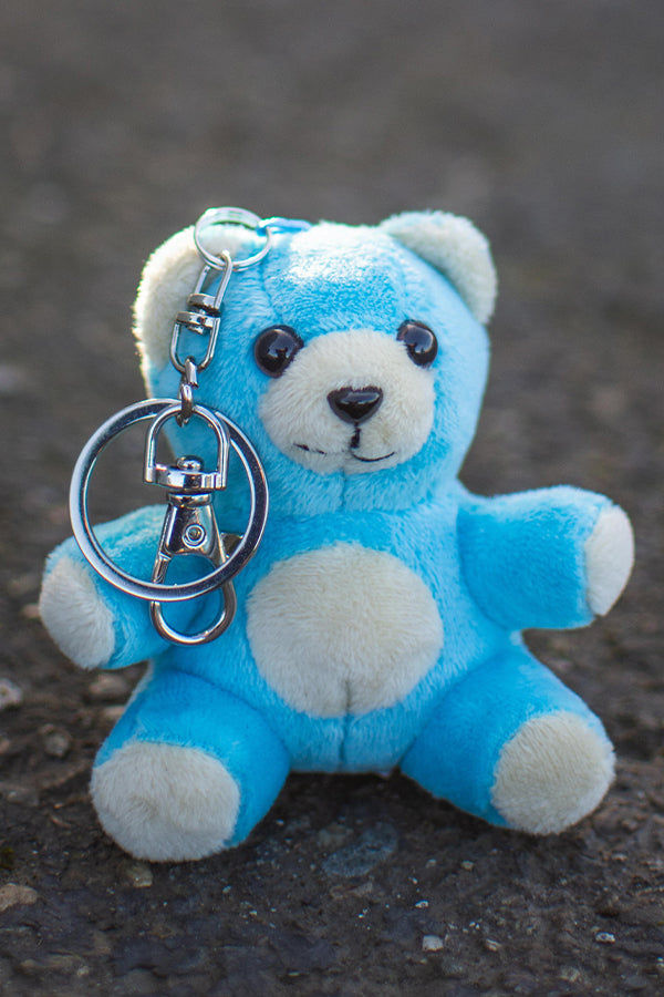 Fallout Quantum Bear keychain Companion