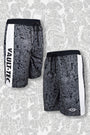 Fallout Vault-Tec Active Shorts