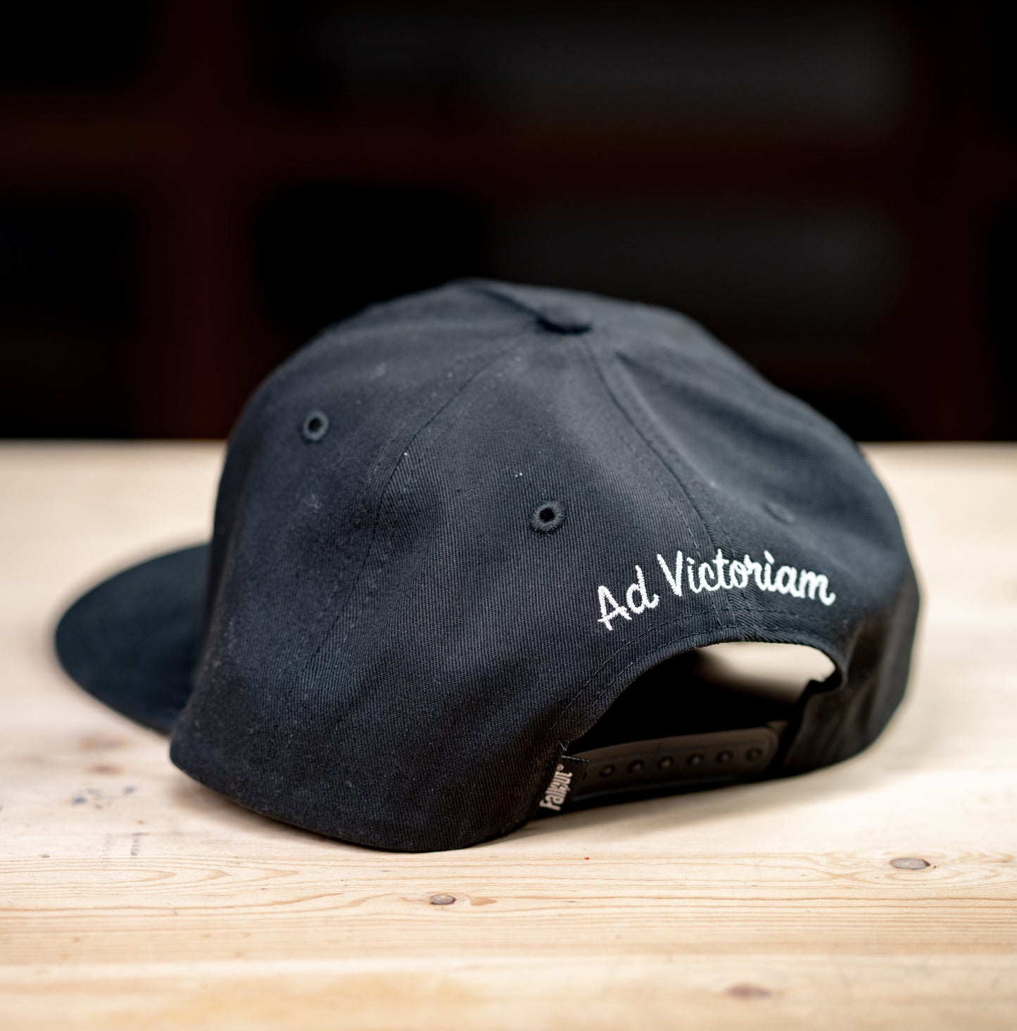 Brotherhood of Steel Snapback