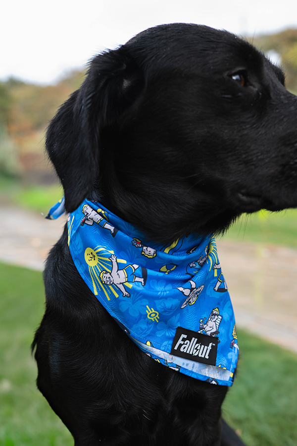 Fallout Wasteland Companion Pet Bandana Set
