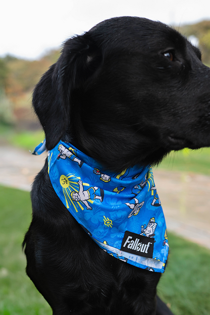 Fallout Wasteland Companion Pet Bandana Set