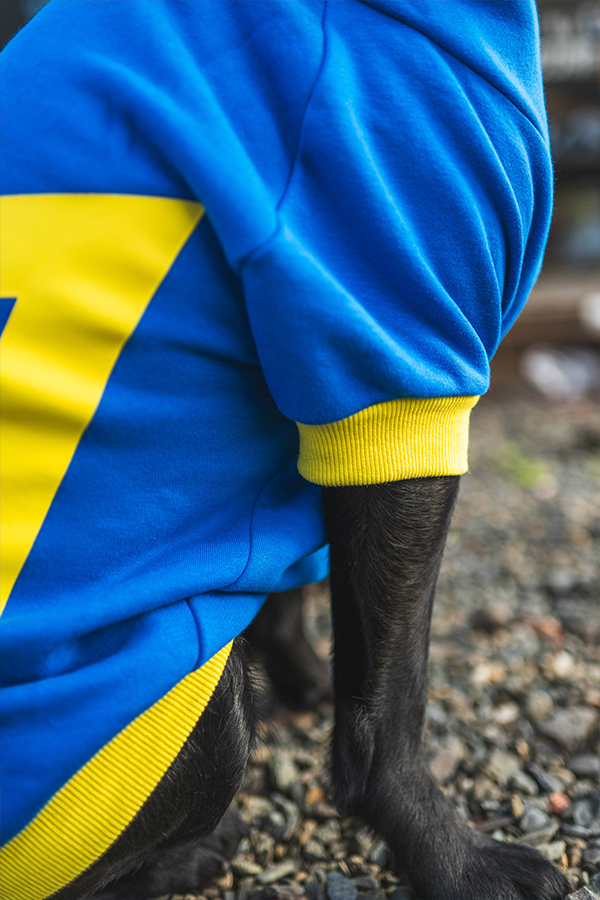 Fallout Vault 101 Pet Hoodie