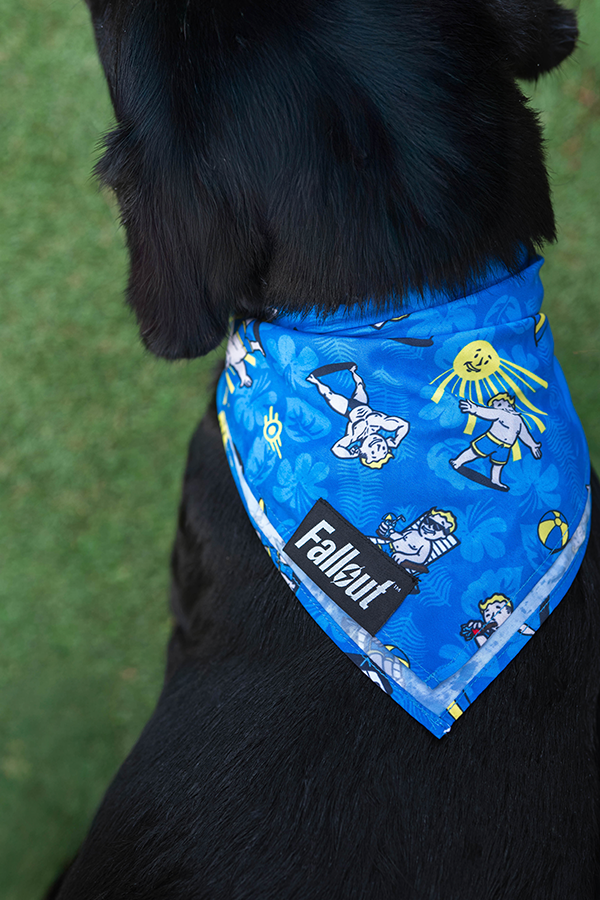 Fallout Wasteland Companion Pet Bandana Set