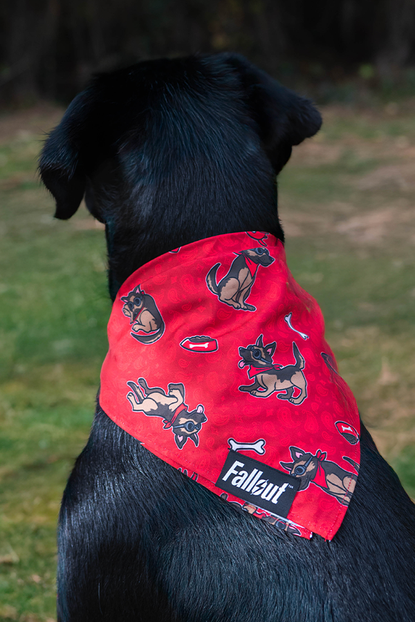 Fallout Wasteland Companion Pet Bandana Set
