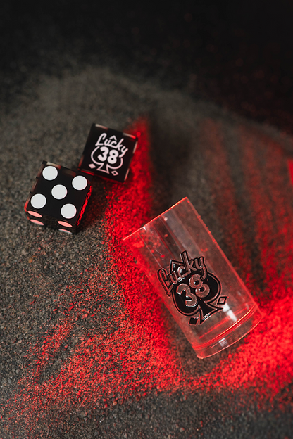 Fallout New Vegas Welcome to the Lucky 38 Bundle