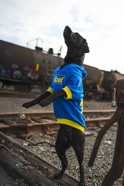 Fallout Vault 101 Pet Hoodie