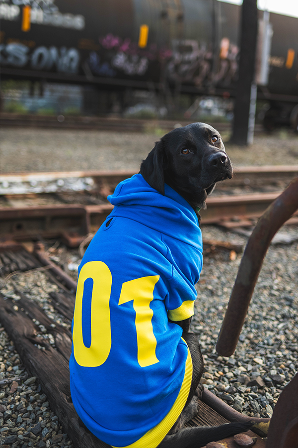 Fallout Vault 101 Pet Hoodie