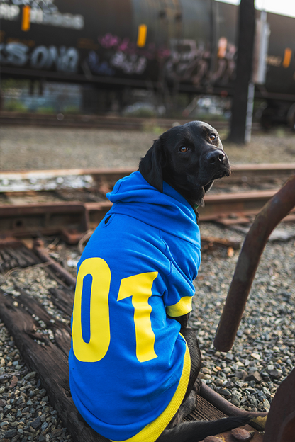 Fallout Vault 101 Pet Hoodie