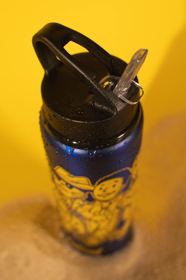 Fallout Series Wasteland Wanderers Bottle