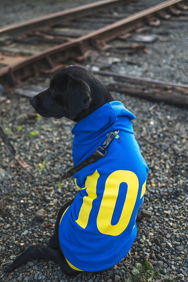 Fallout Vault 101 Pet Hoodie – Official Bethesda Gear Store