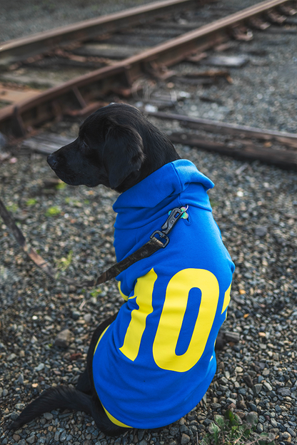 Fallout Vault 101 Pet Hoodie