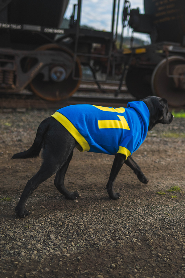 Fallout Vault 101 Pet Hoodie
