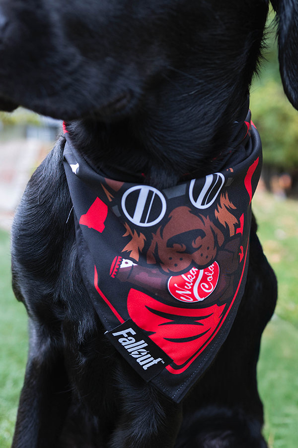 Fallout Wasteland Companion Pet Bandana Set
