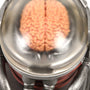 Image: Fallout Robobrain Statue closeup of brain