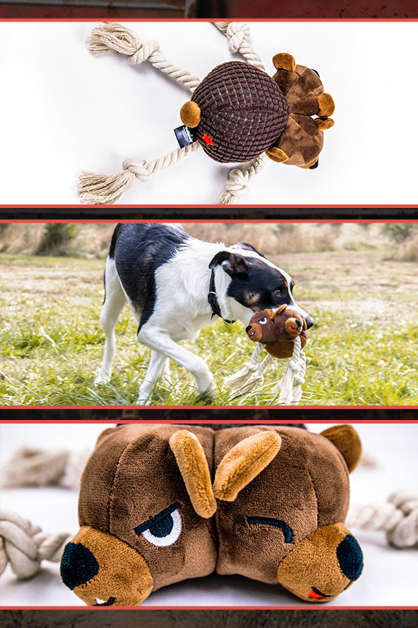 Overhead shot of the Fallout NCR Bear Pet Chew Toy, an 8.25” long dog toy feat. two heads (each with a squeaker), four rope legs, and an embroidered red New California Republic star on its backside, A dog carrying the Fallout NCR Bear Pet Chew Toy while walking on a grassy field, and Detail shot of the Fallout NCR Bear Pet Chew Toy feat. its two heads. One head is fierce with angry eyes and fangs out. The other is cheerful with closed eyes and its tongue out.