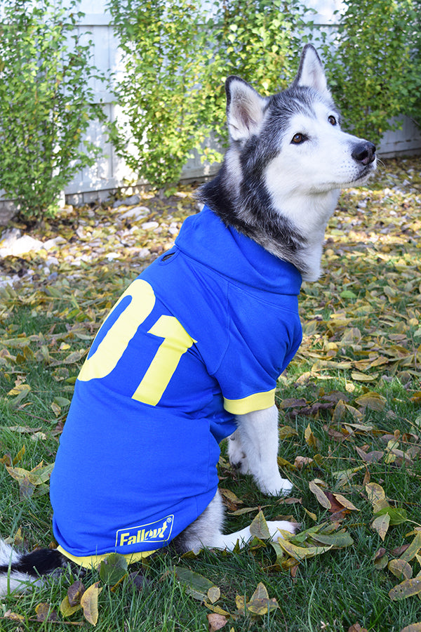 Fallout Vault 101 Dog Hoodie – Official Bethesda Gear Store