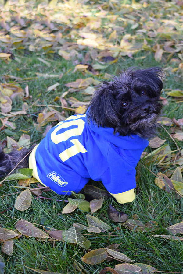 Fallout Vault 101 Dog Hoodie