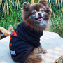 DOOM Mark of the Slayer Dog Hoodie