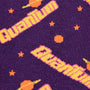 Image: Closeup of Nuka Cola Quantum sock