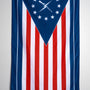 Minutemen Flag